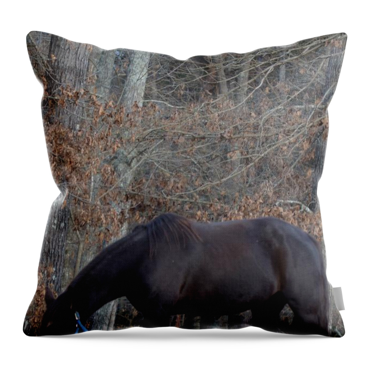 Black Throw Pillow featuring the photograph The Black by Maria Urso