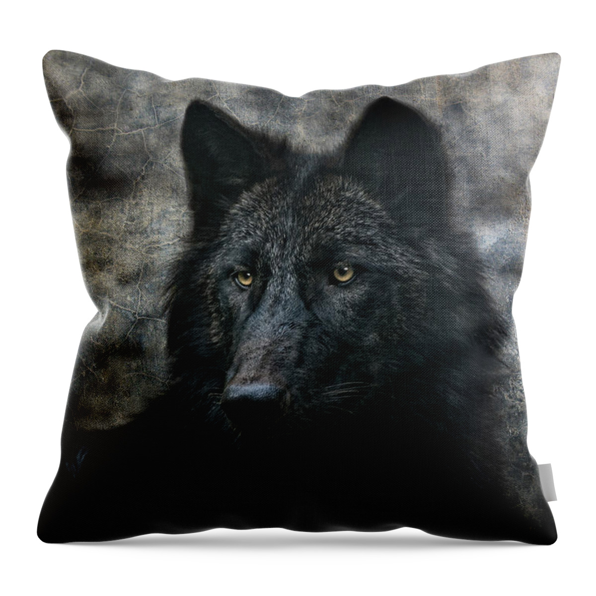 Animal Throw Pillow featuring the photograph The Black Wolf by Joachim G Pinkawa