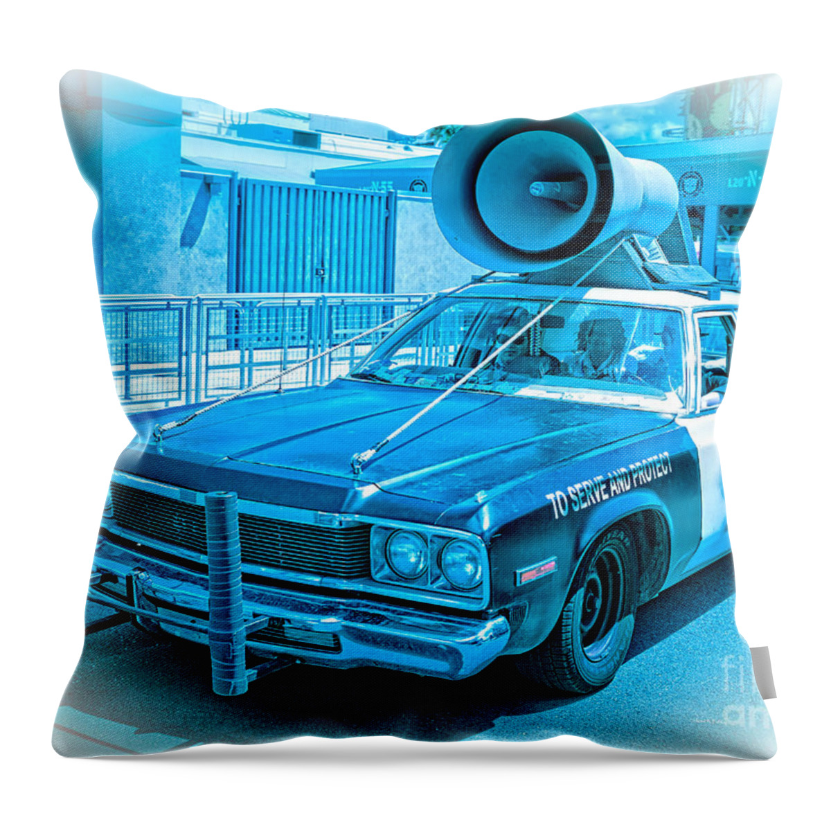 Blues Throw Pillow featuring the photograph The Blues Brothers by Edward Fielding