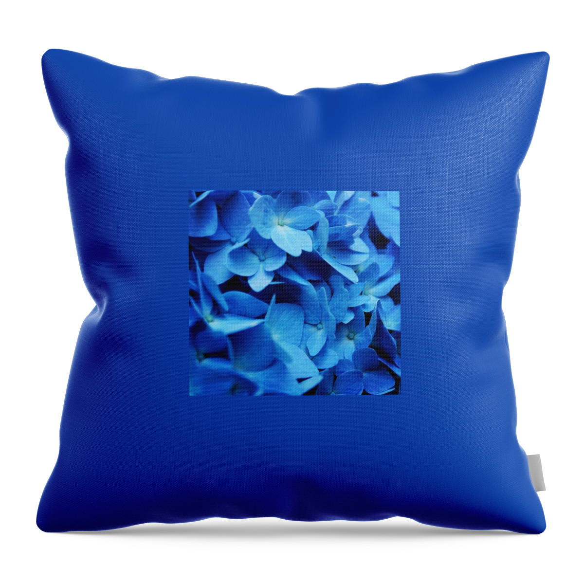 Blue Throw Pillow featuring the photograph The Blues by Justin Connor