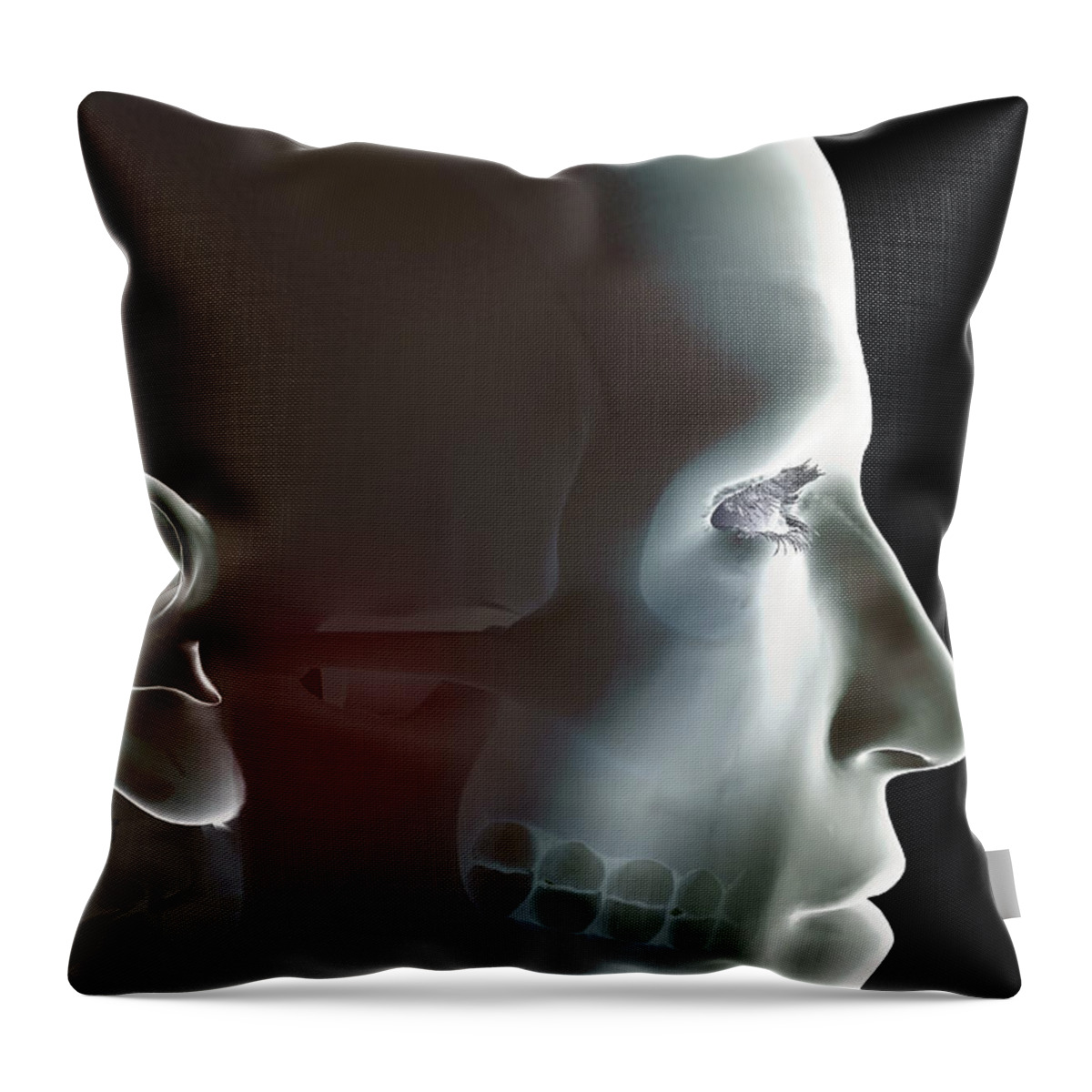 Eye Socket Throw Pillow featuring the photograph The Bones Of The Head by Science Picture Co