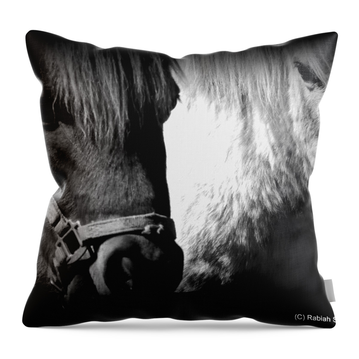 Horses Throw Pillow featuring the photograph The Boyz by Rabiah Seminole