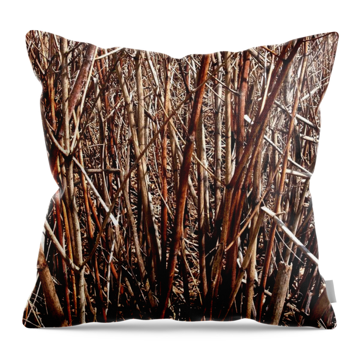 Branches Throw Pillow featuring the photograph The Breaks by Joseph Yarbrough