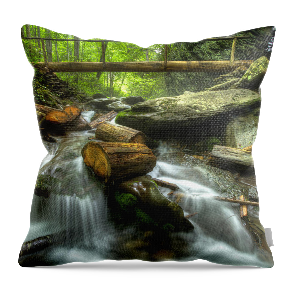 Appalachia Throw Pillow featuring the photograph The Bridge at Alum Cave by Debra and Dave Vanderlaan