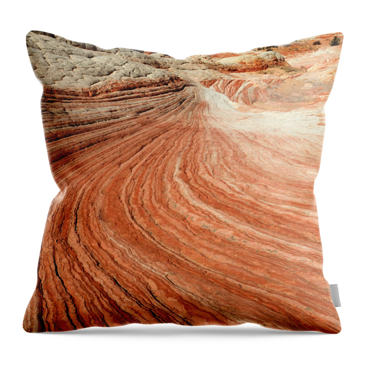 White Pocket Throw Pillow featuring the photograph The Brilliance Of Nature 3 by Bob Christopher
