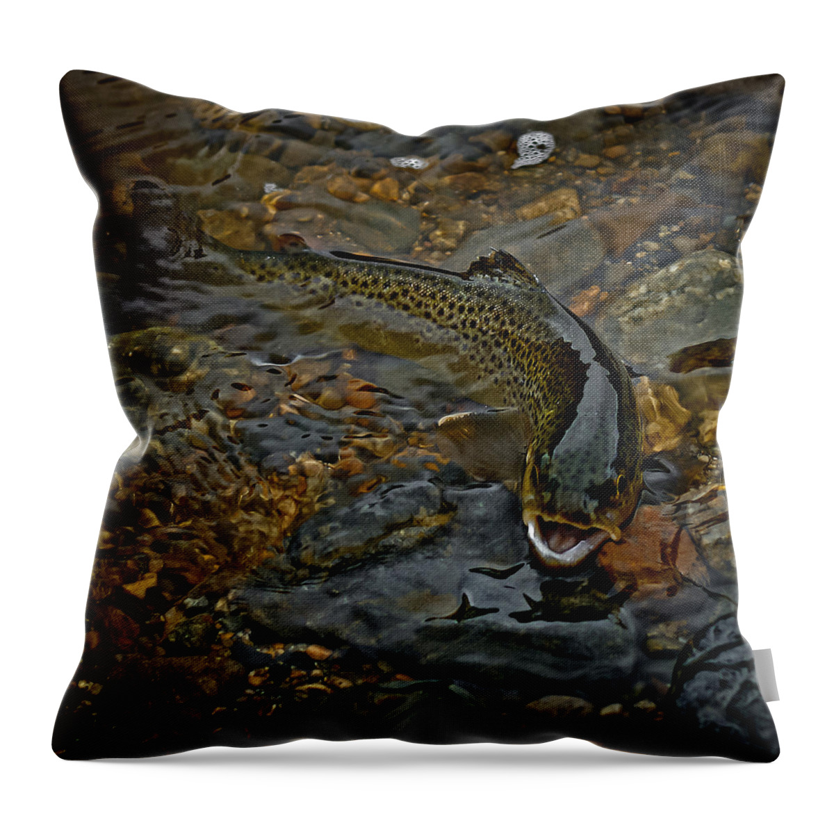 The Brown Trout Throw Pillow featuring the photograph The Brown Trout by Ernest Echols
