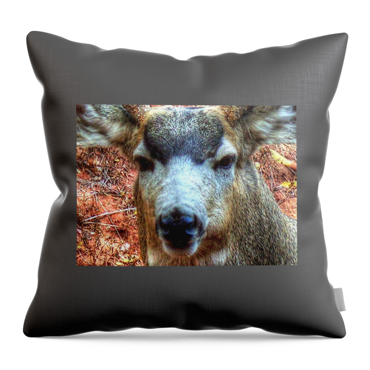 Deer Throw Pillow featuring the photograph The Buck II by Lanita Williams