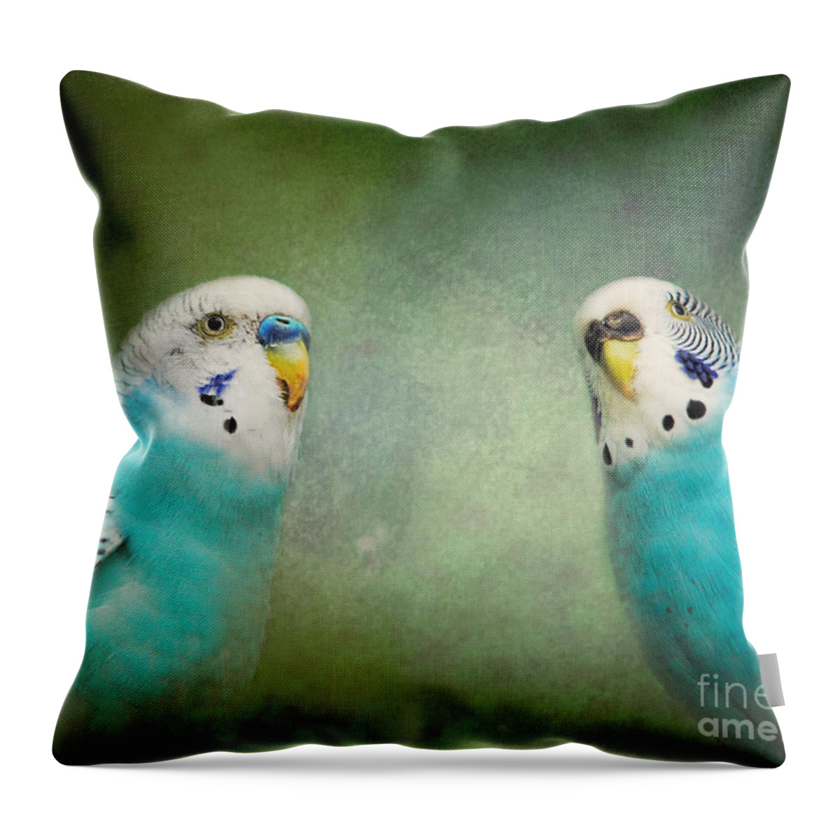 Bird Throw Pillow featuring the photograph The Budgie Collection - Budgie Pair by Jai Johnson