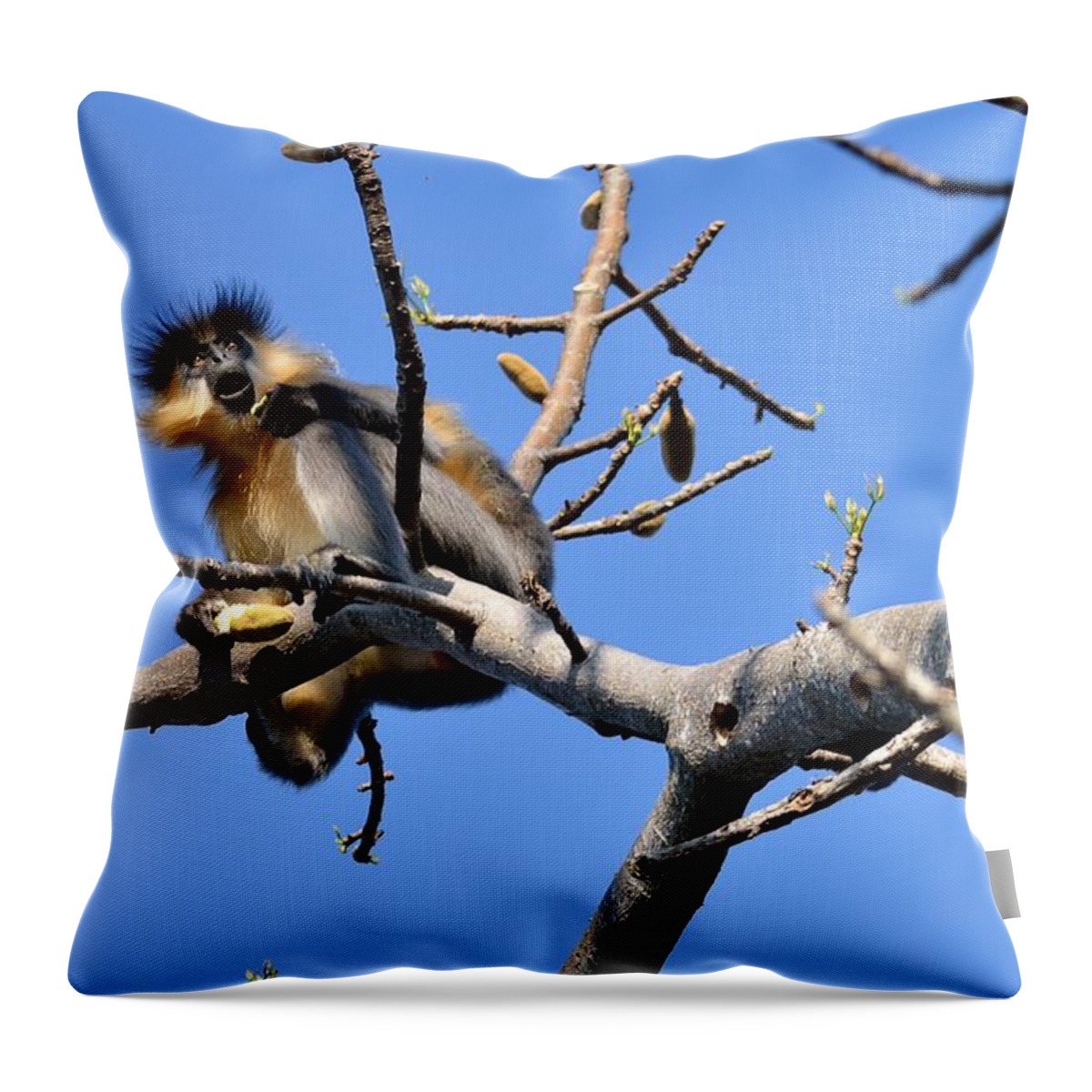 Capped Langur Throw Pillow featuring the photograph The Capped One by Fotosas Photography