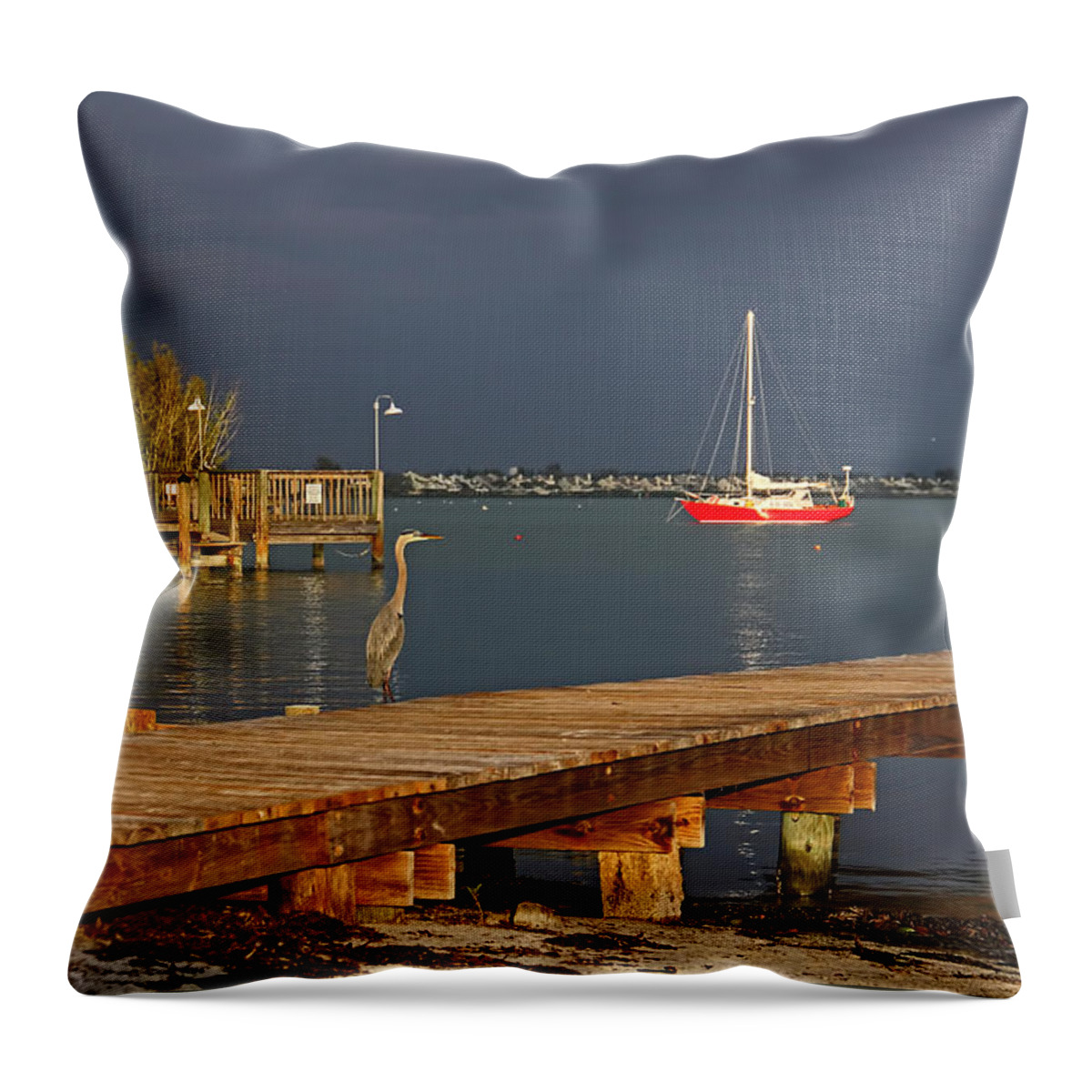 Great Blue Heron Throw Pillow featuring the photograph The Casual Observer by HH Photography of Florida