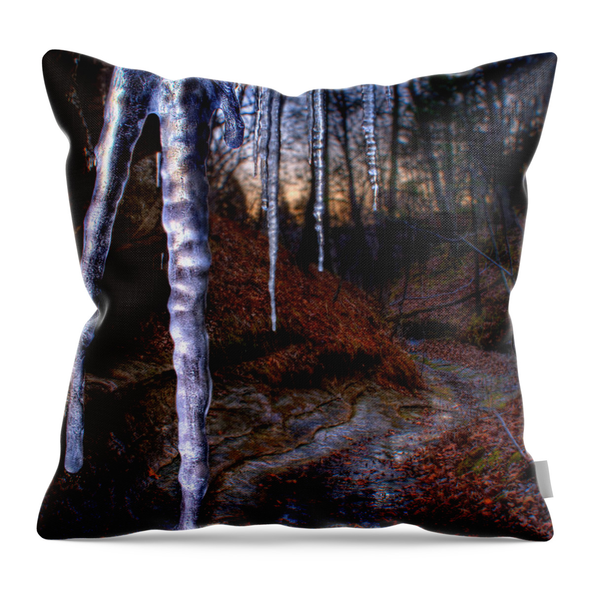 2009 Throw Pillow featuring the photograph The Cave of the Crystal Daggers by Robert Charity