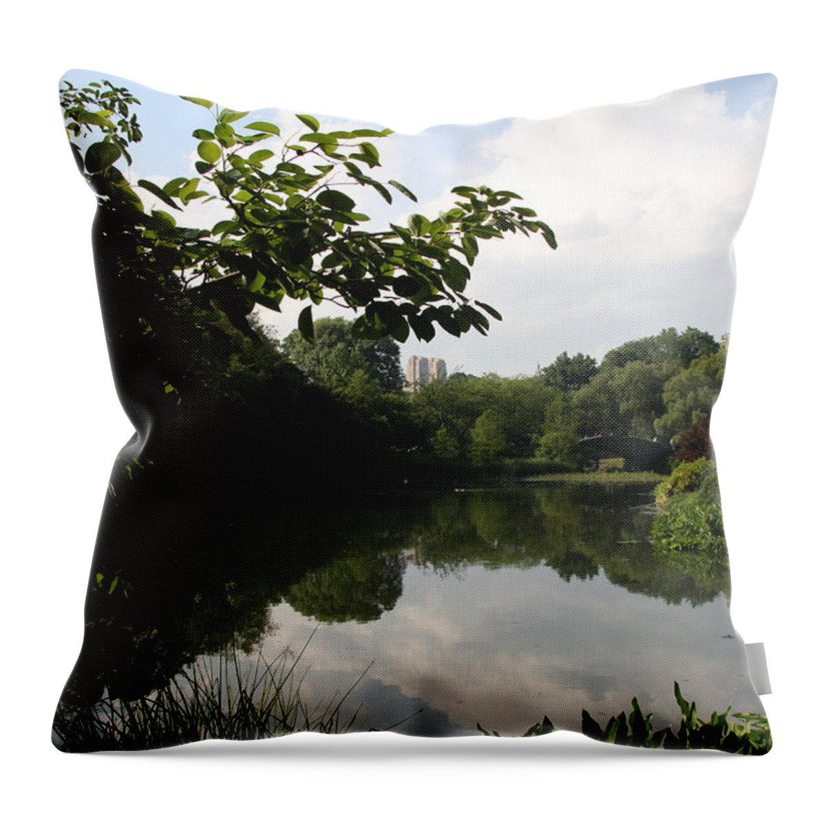 Pond Throw Pillow featuring the photograph The Central Park Pond by Christiane Schulze Art And Photography
