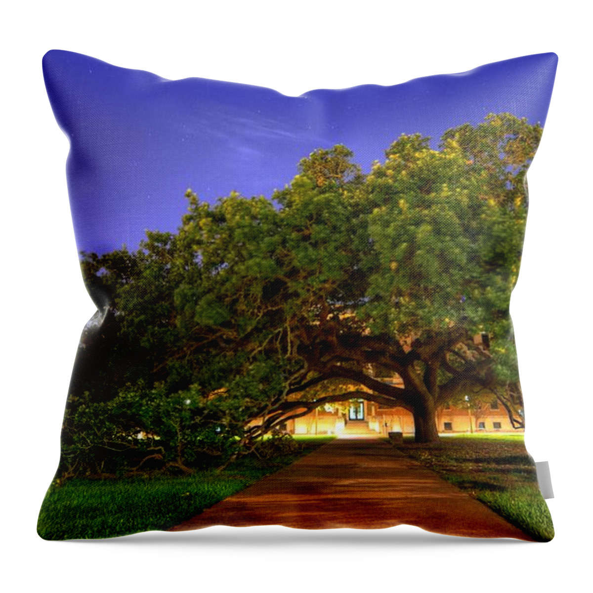 The Century Tree Throw Pillow featuring the photograph The Century Tree by David Morefield