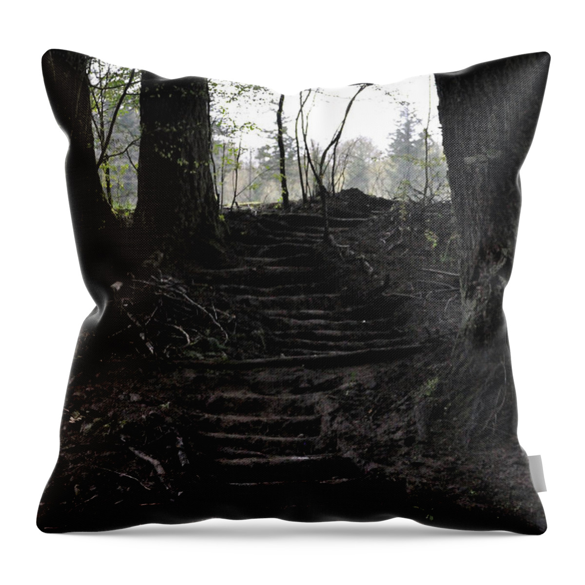Stairs Throw Pillow featuring the photograph The Climb by Heather L Wright