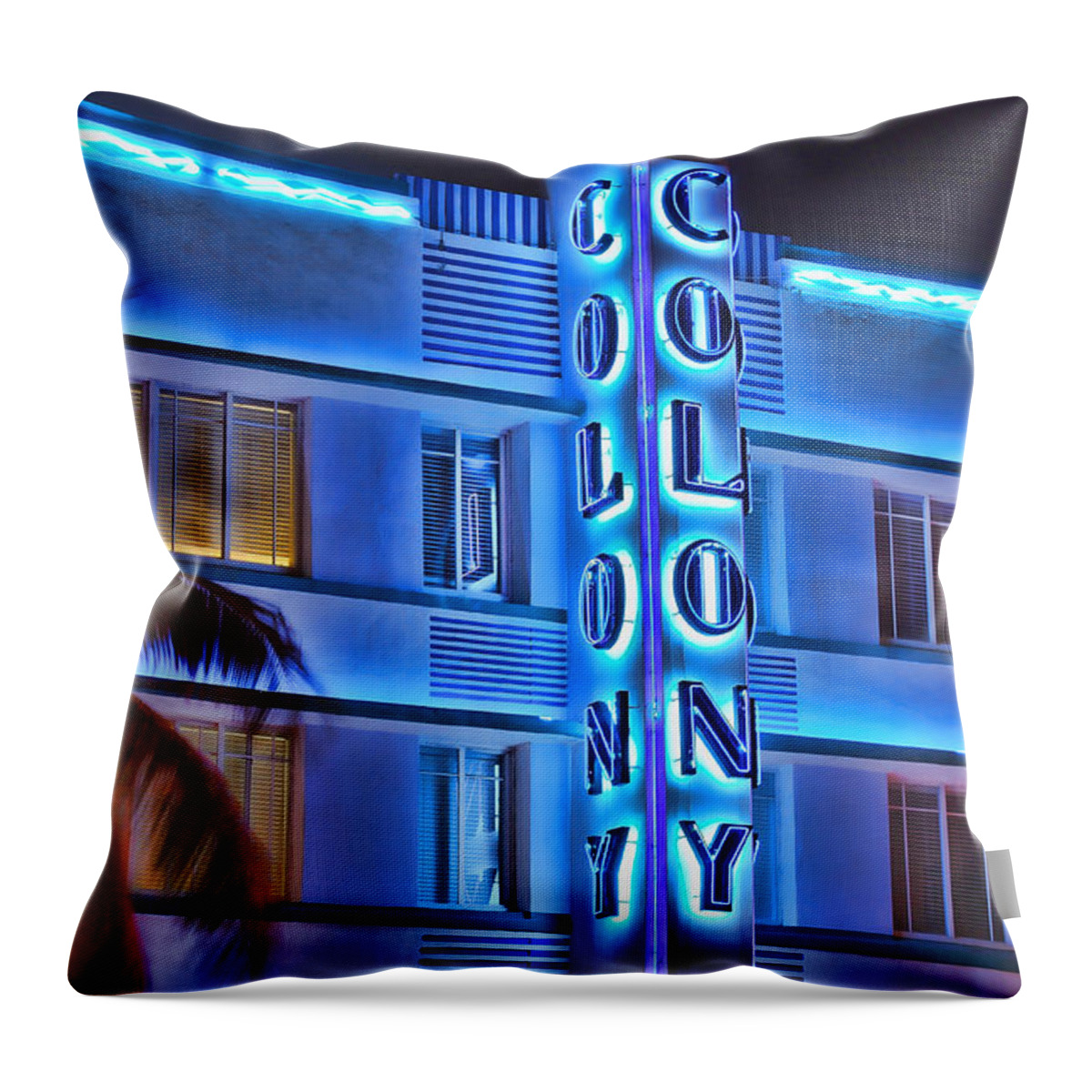 Colony Throw Pillow featuring the photograph The Colony by Carol Eade