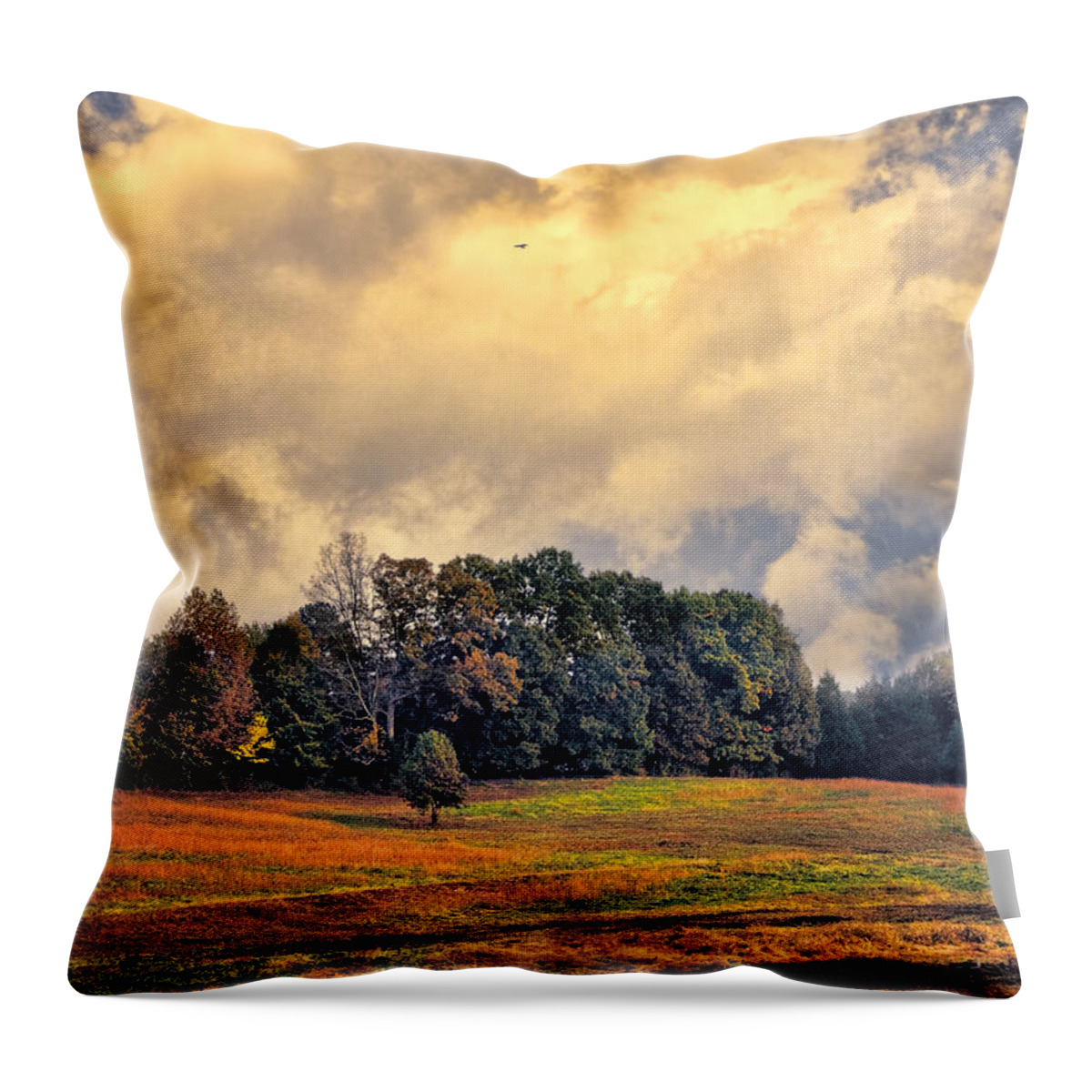 Autumn Throw Pillow featuring the photograph The Colors of Fall by Jai Johnson