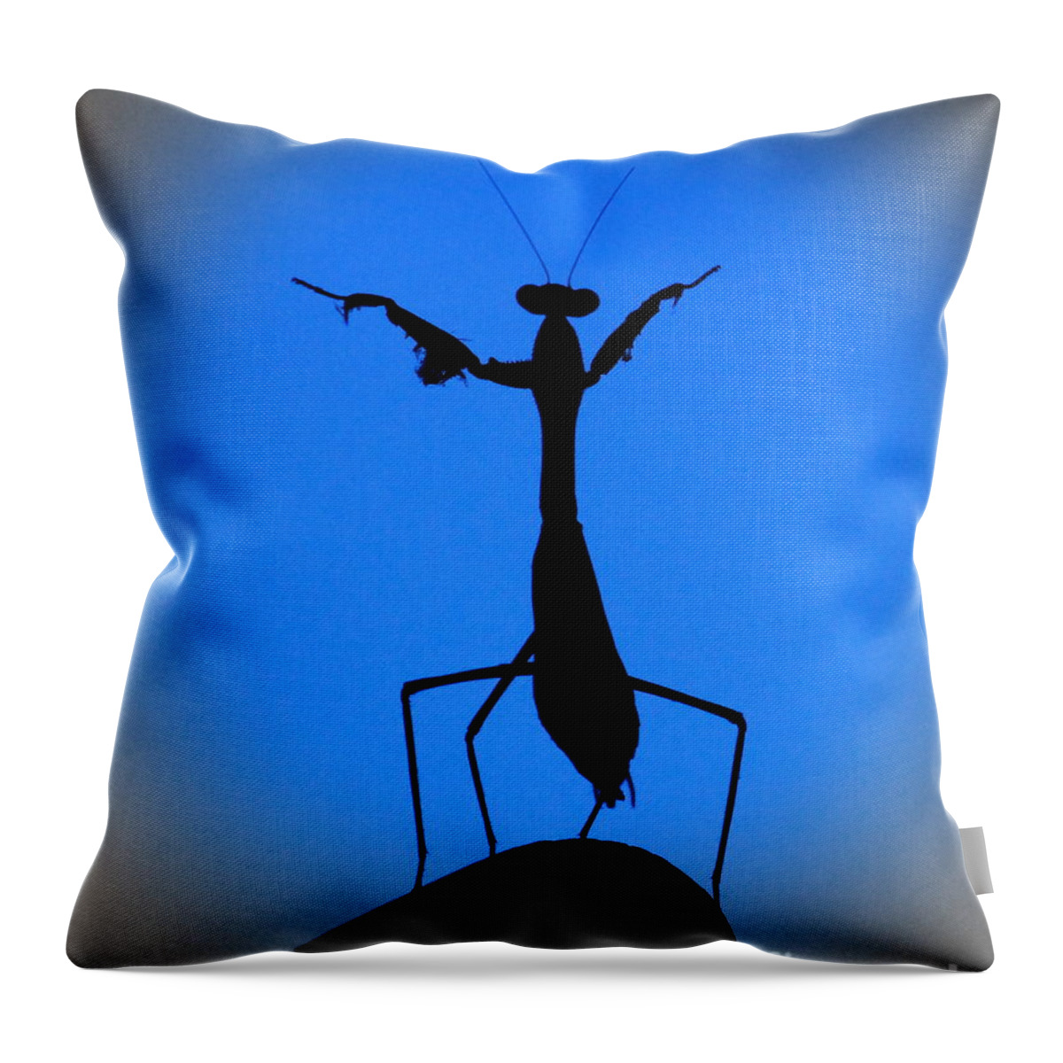 Conductor Throw Pillow featuring the photograph The Conductor by Patrick Witz