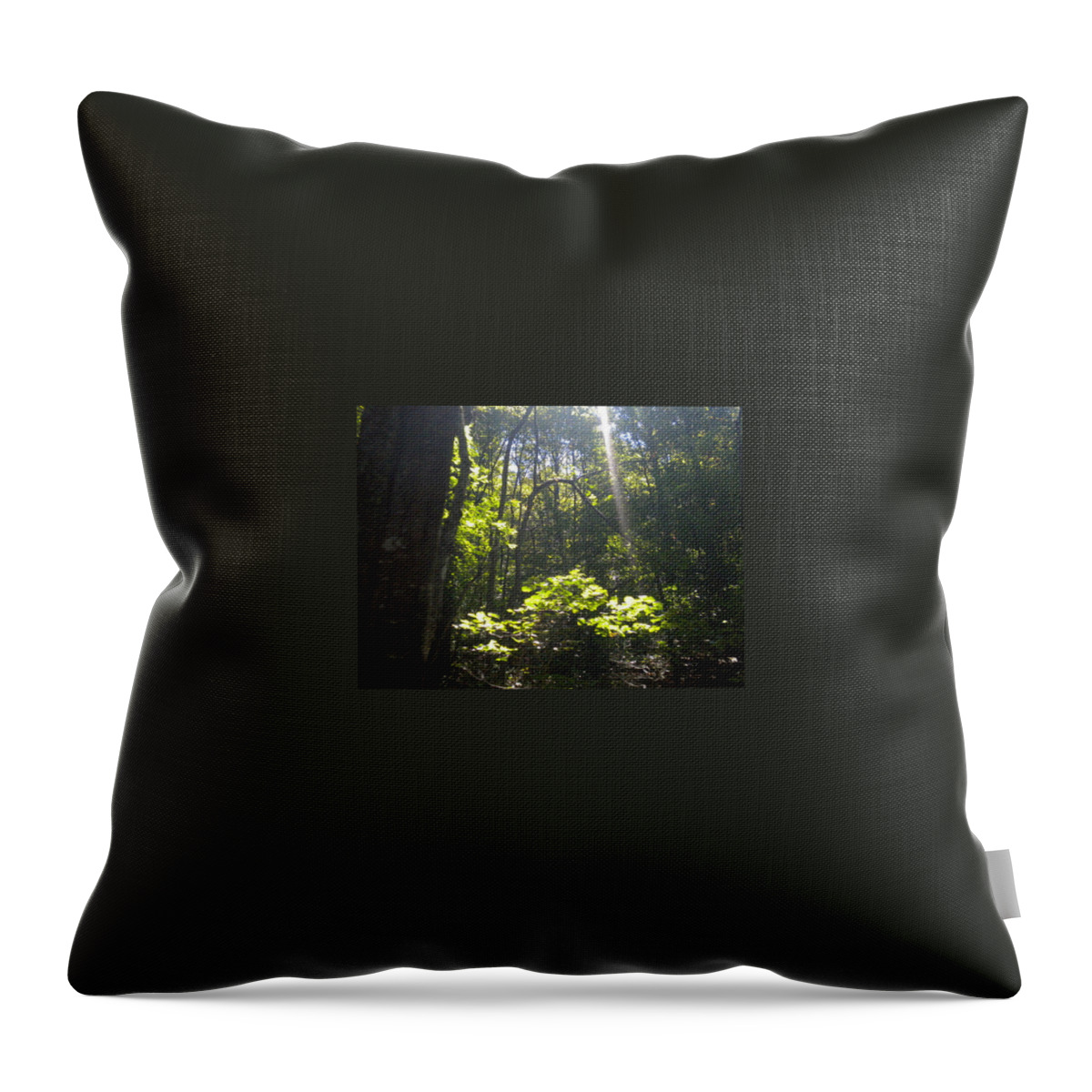 The Cross Throw Pillow featuring the photograph The Cross by Diannah Lynch