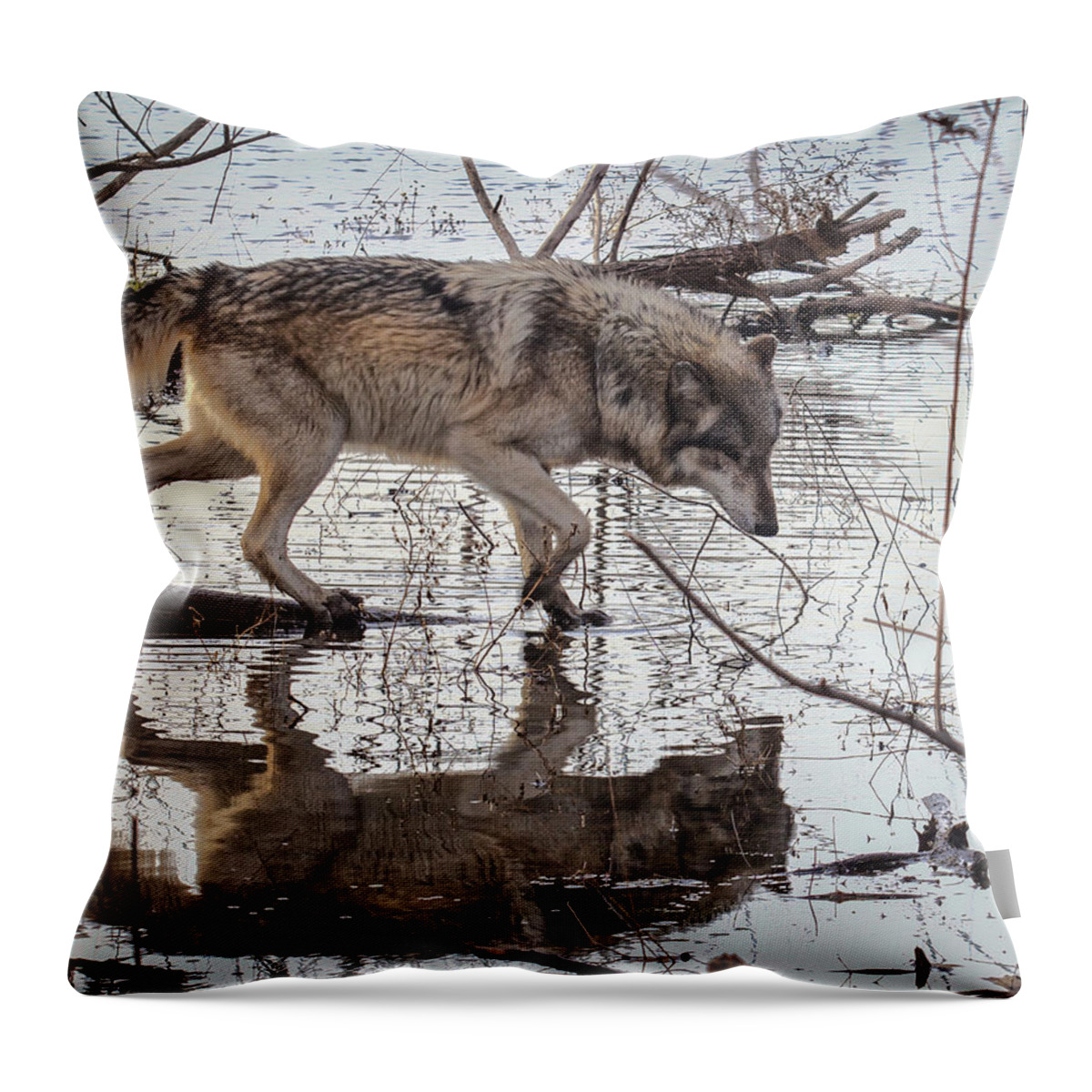 Animal Throw Pillow featuring the photograph The Crossing by Jack R Perry