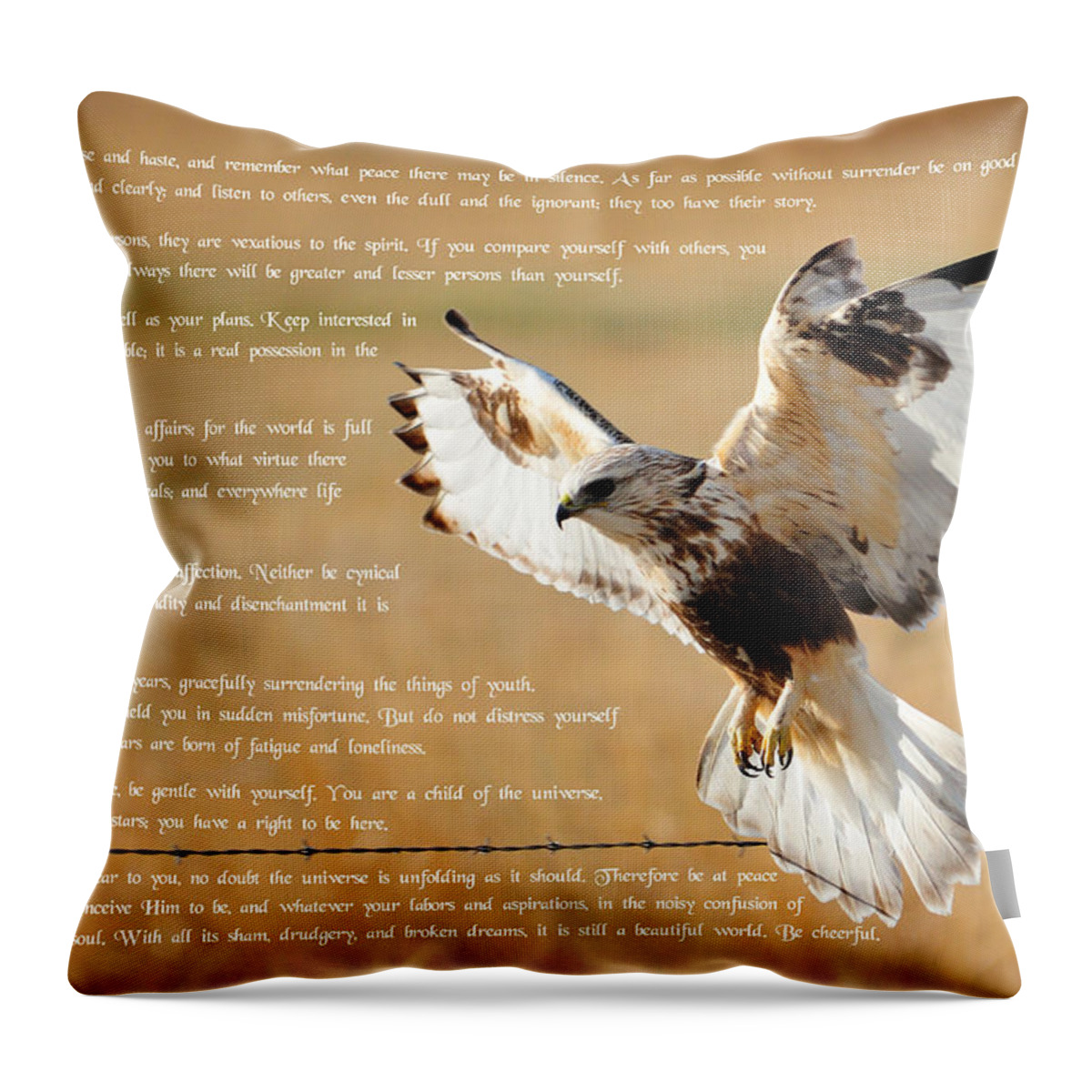 Desiderata Throw Pillow featuring the photograph The Desiderata with Hawk by Greg Norrell
