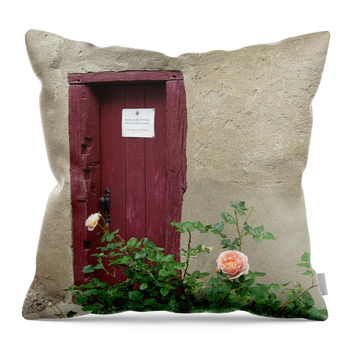 Door Throw Pillow featuring the photograph The Doorway by Pema Hou