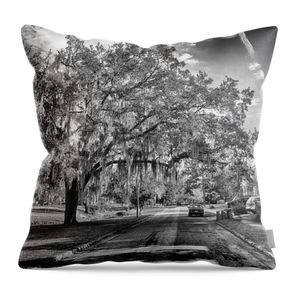 Gainesville Throw Pillow featuring the photograph The Duck Pond Area by Howard Salmon