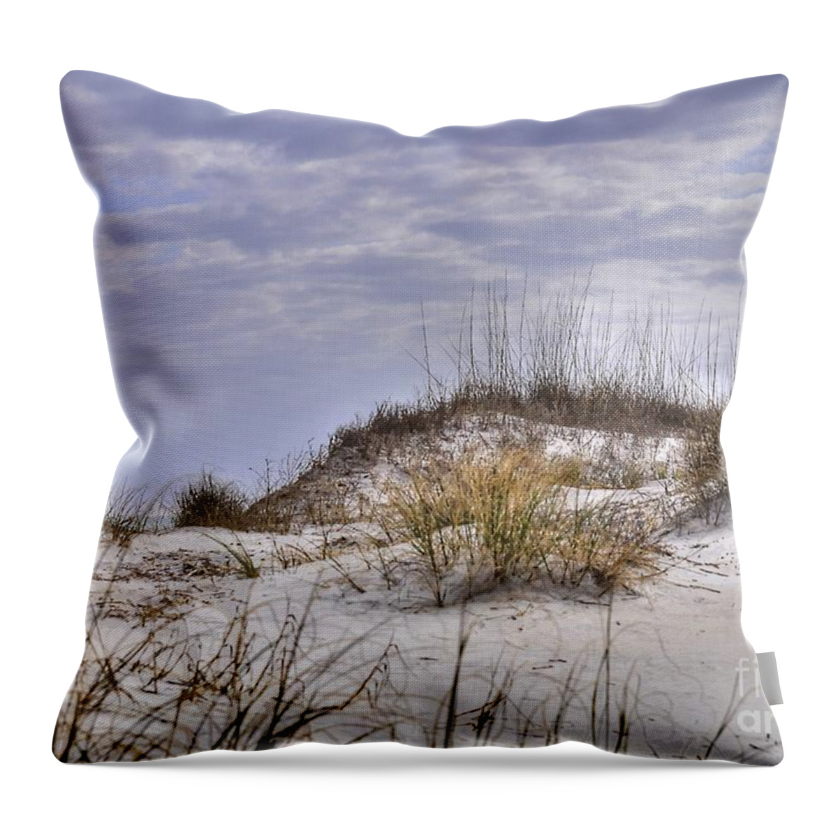 Beach Throw Pillow featuring the photograph The Dunes At Huntington Beach State Park by Kathy Baccari
