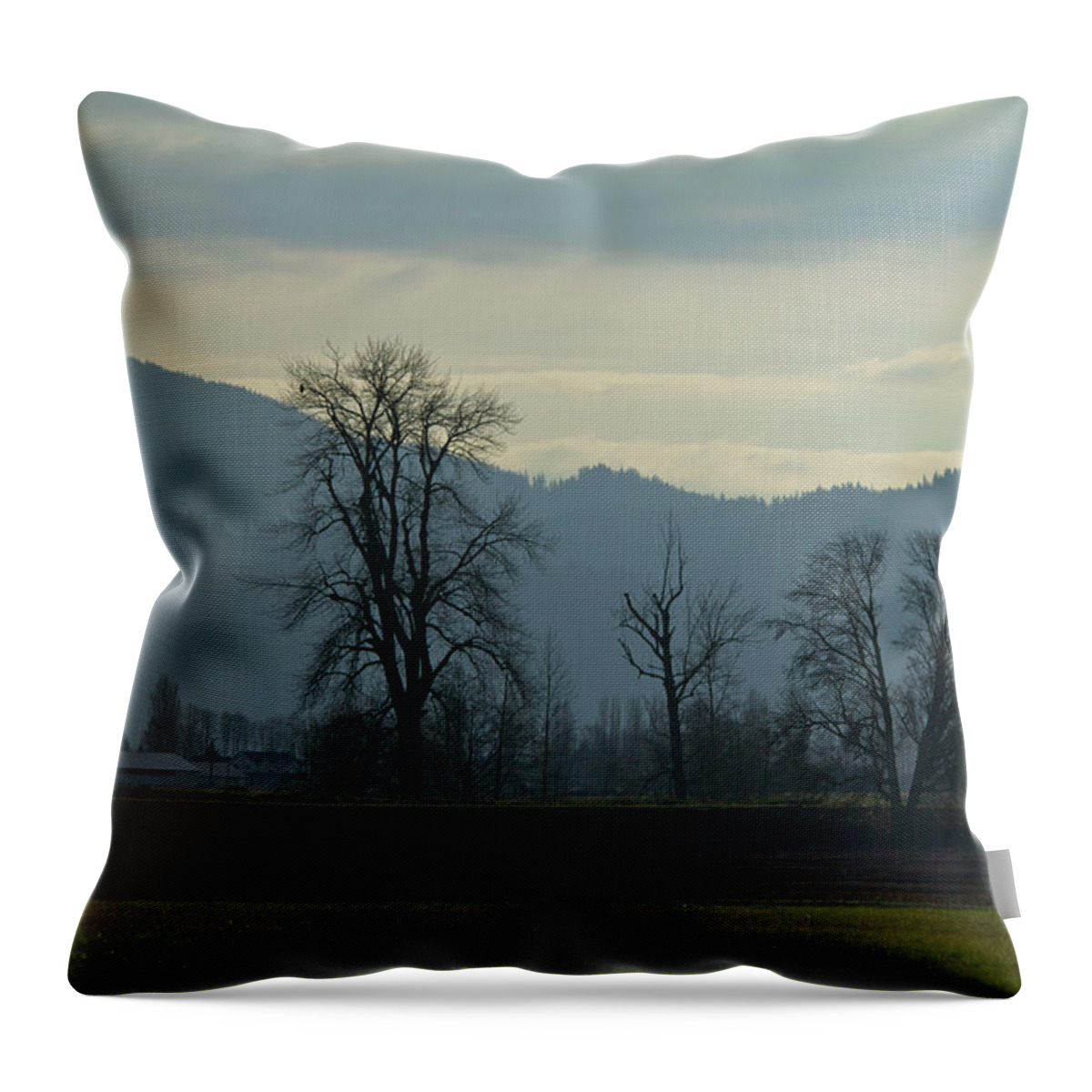 Tree Throw Pillow featuring the photograph The eagle tree by Eti Reid