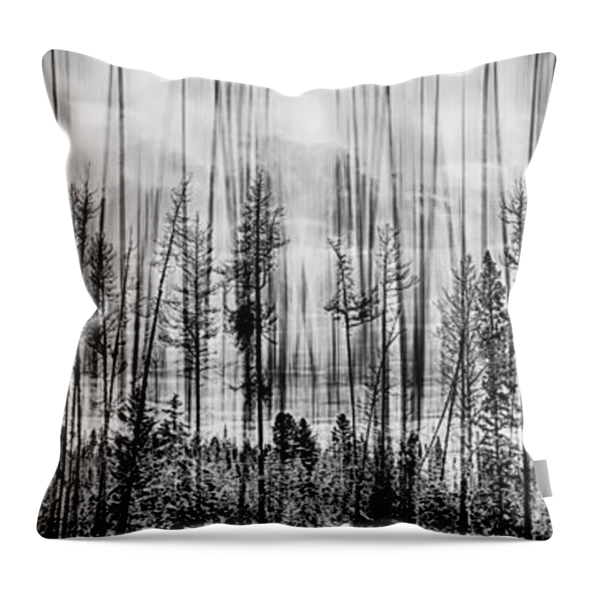 Forest Throw Pillow featuring the photograph The Edge Of The Clear-cut by Theresa Tahara