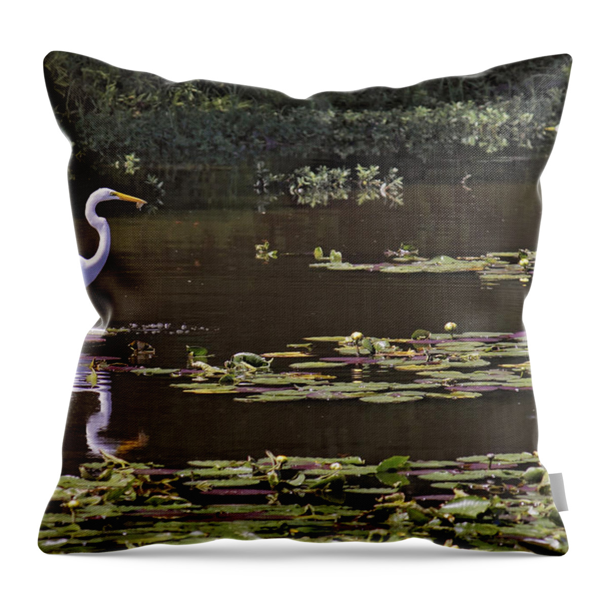 Egret Throw Pillow featuring the photograph The Egret Hunter by Jason Politte