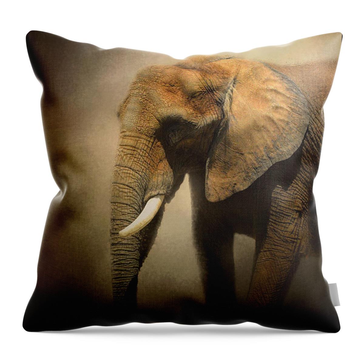 Jai Johnson Throw Pillow featuring the photograph The Elephant Emerges by Jai Johnson