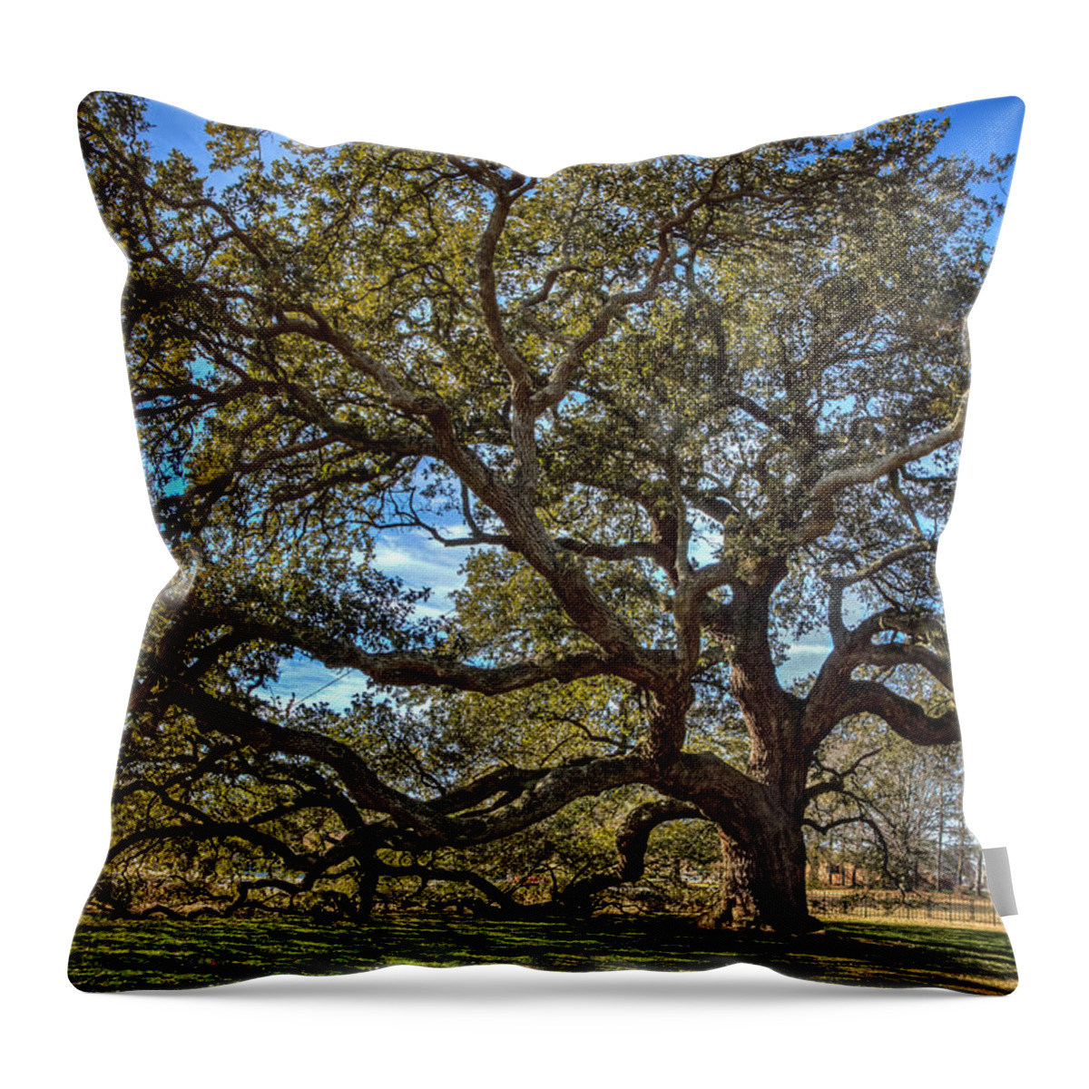 Emancipation Oak Throw Pillow featuring the photograph The Emancipation Oak Tree at HU by Jerry Gammon