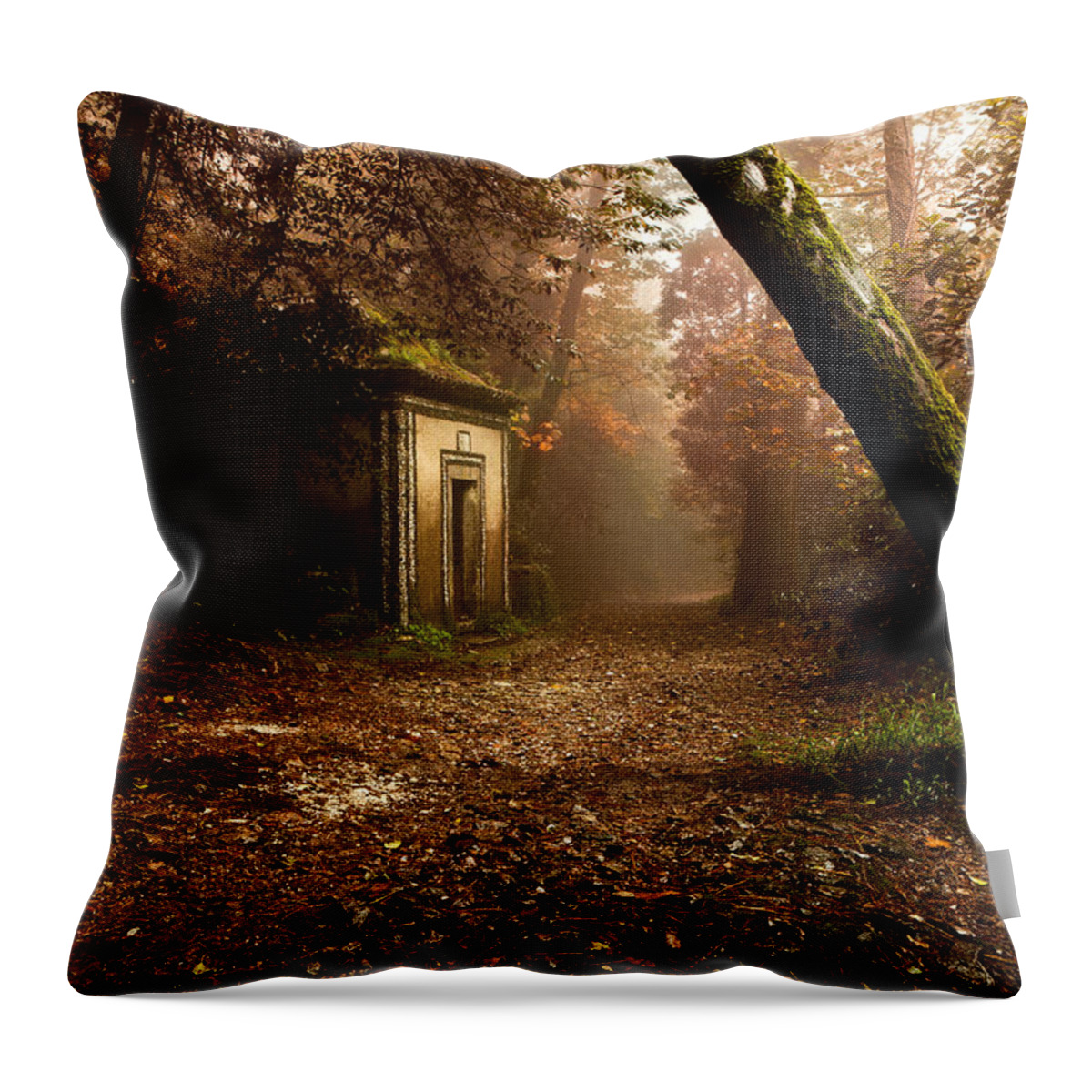 Mood Throw Pillow featuring the photograph The enchanted trail by Jorge Maia