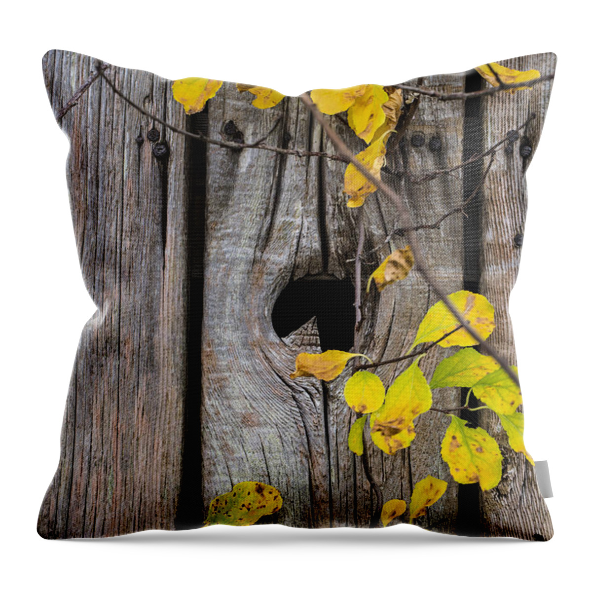 Andrew Pacheco Throw Pillow featuring the photograph The End is Always Near by Andrew Pacheco