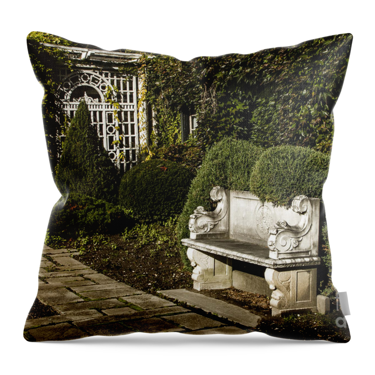 Benches Throw Pillow featuring the photograph The End of Autumn by Marilyn Cornwell