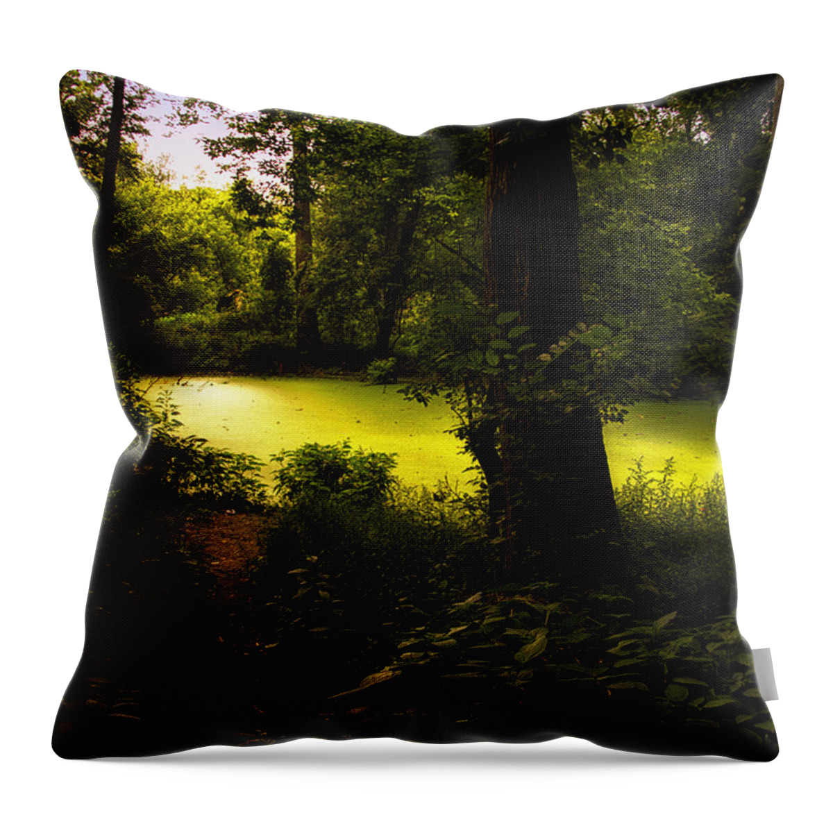 Surrealism Throw Pillow featuring the photograph The End Of The Path by Thomas Woolworth