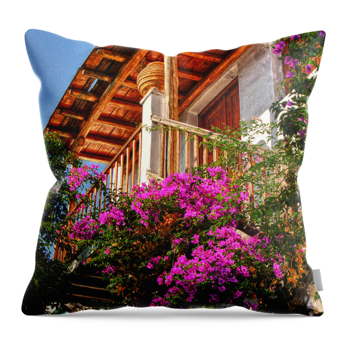 Home Decor Wall Art Throw Pillow featuring the photograph The entrance way Mykonos by Tom Prendergast