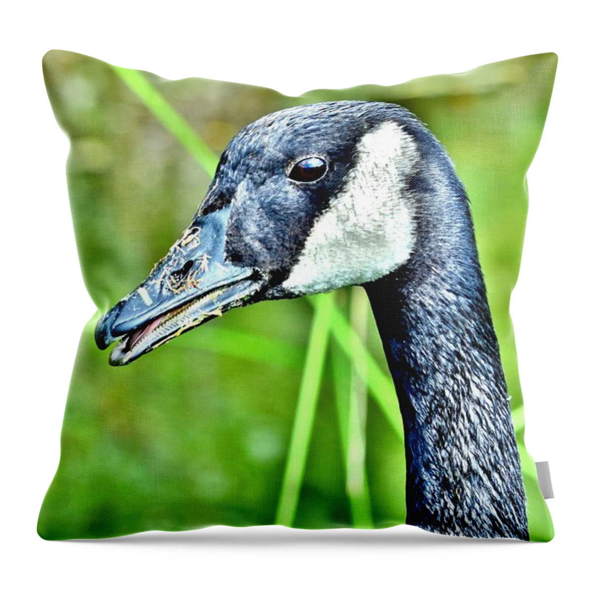 Bird Throw Pillow featuring the photograph The Eye of the Goose by Kim Bemis