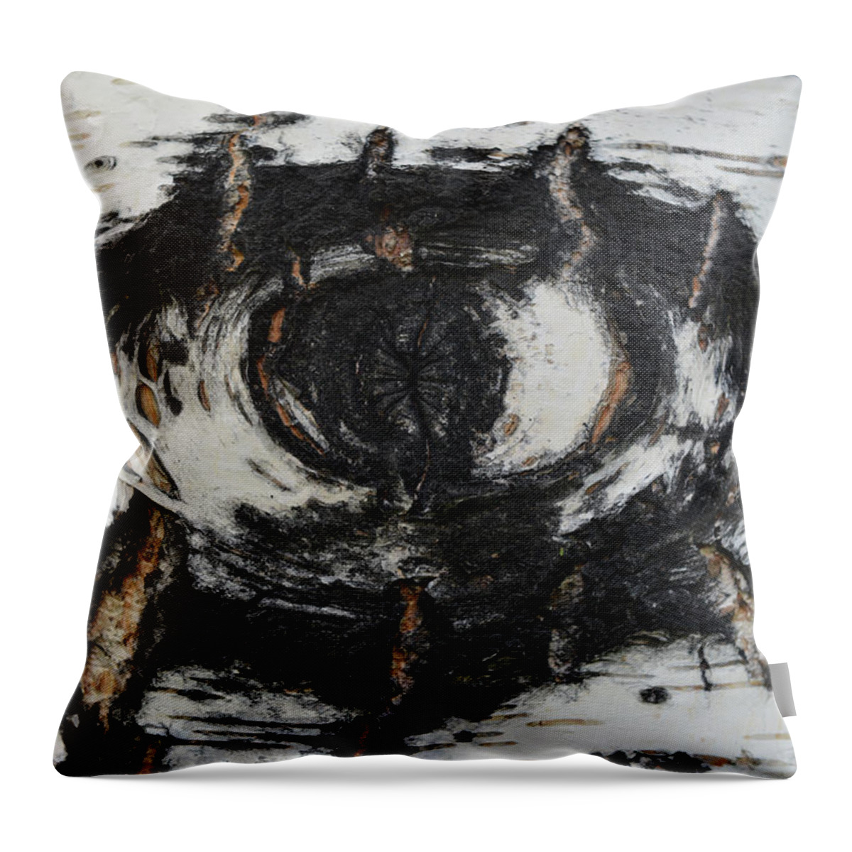 Banff Throw Pillow featuring the photograph The Eye by Yue Wang
