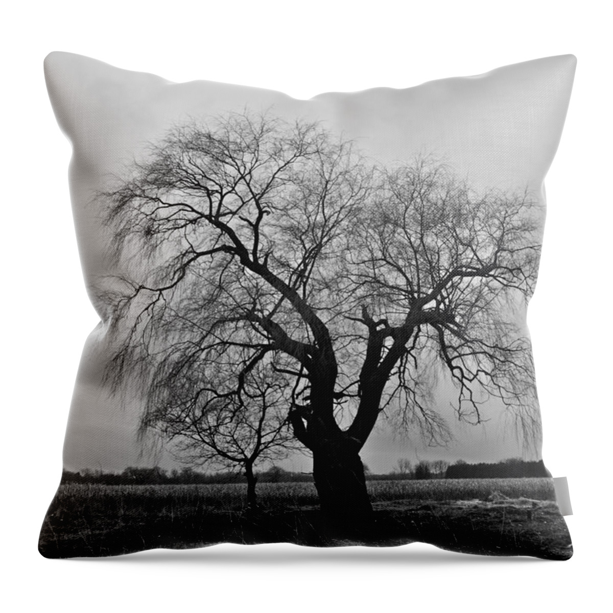 Tree Throw Pillow featuring the photograph The Fall by Brooke Friendly