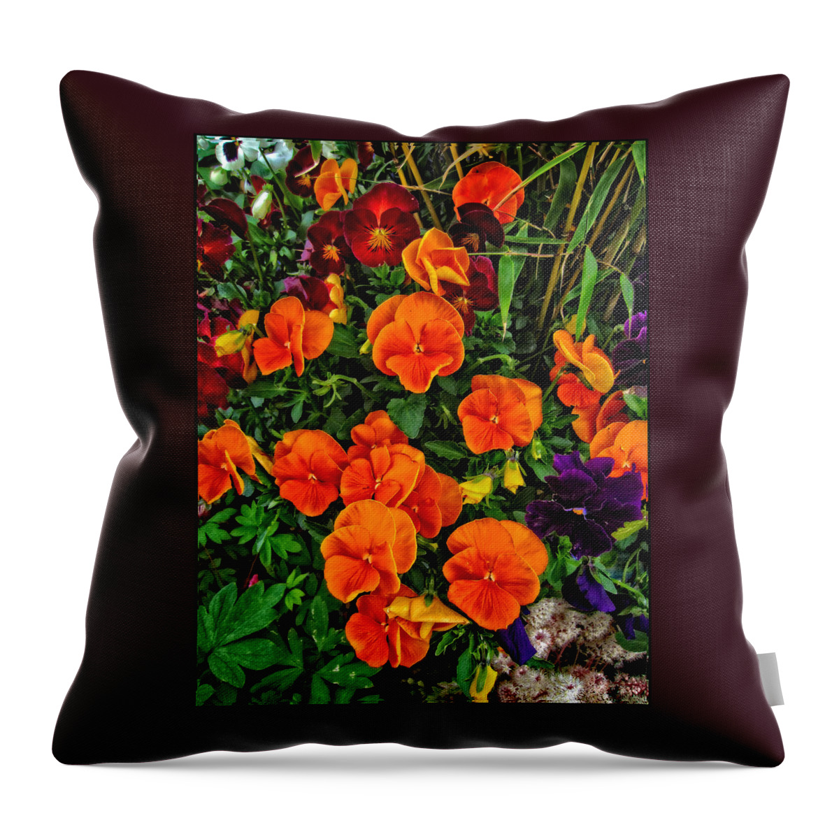 Floral Wall Art Throw Pillow featuring the photograph Fall Pansies by Thom Zehrfeld