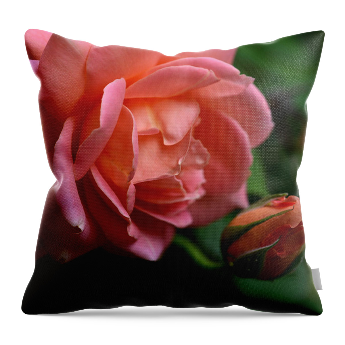 Rose Throw Pillow featuring the photograph The Fan Club by Wanda Brandon