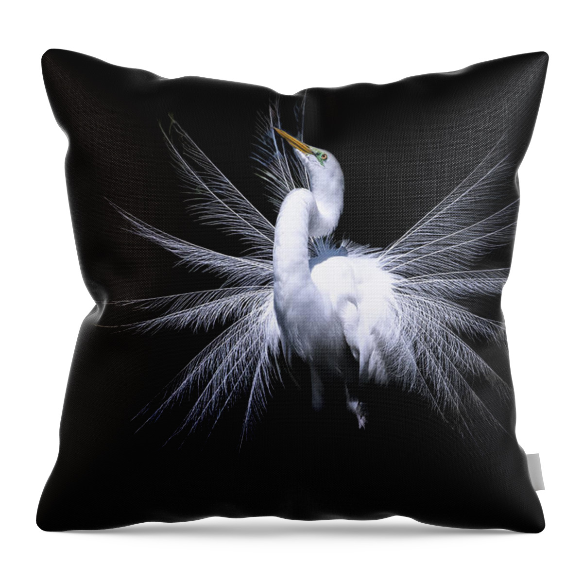 Crystal Yingling Throw Pillow featuring the photograph The Fan by Ghostwinds Photography