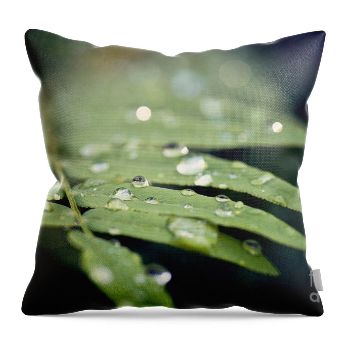 Green Throw Pillow featuring the photograph The Fern by Erin Johnson