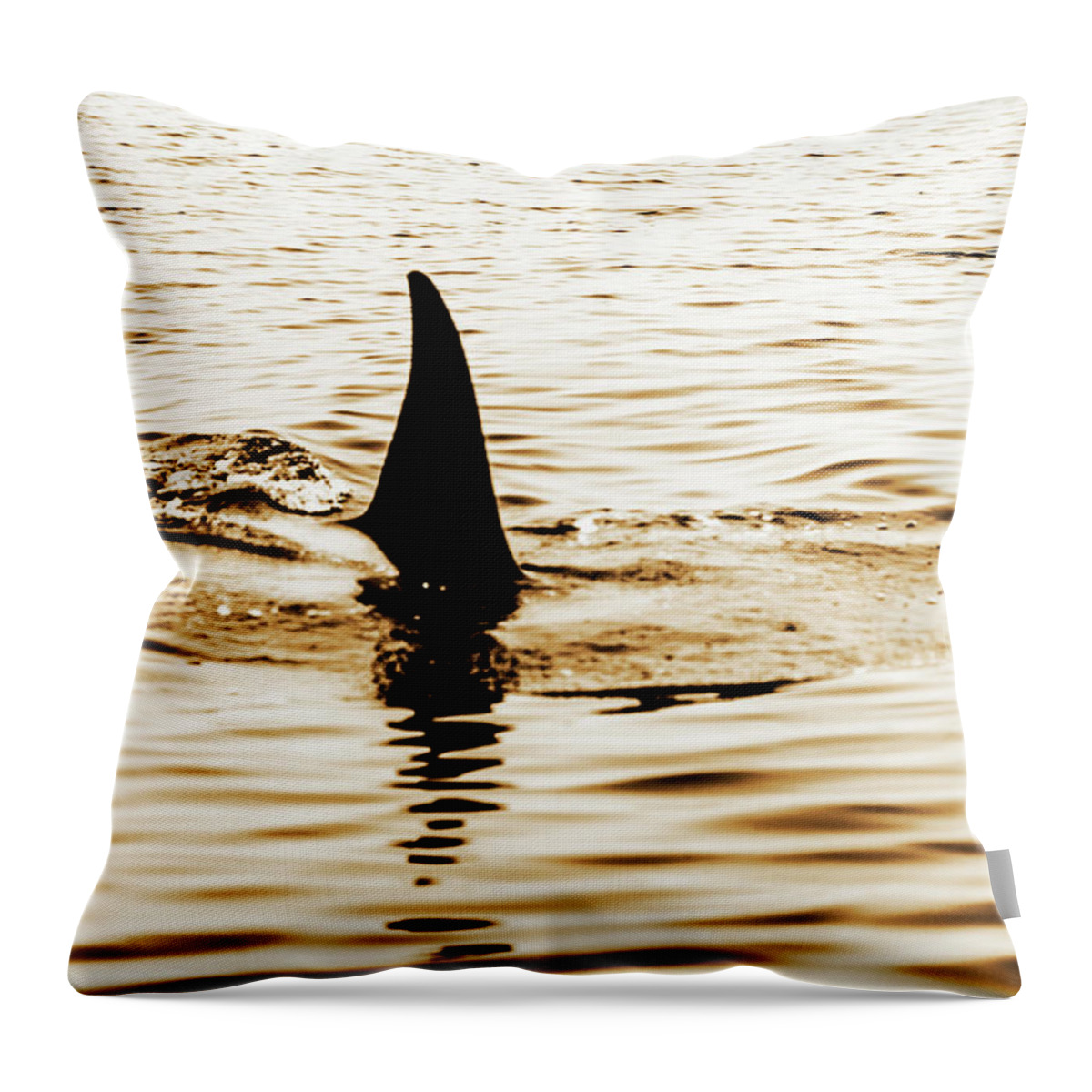 Alaska Throw Pillow featuring the photograph The Fin Of A Killer Whale by Ron Koeberer