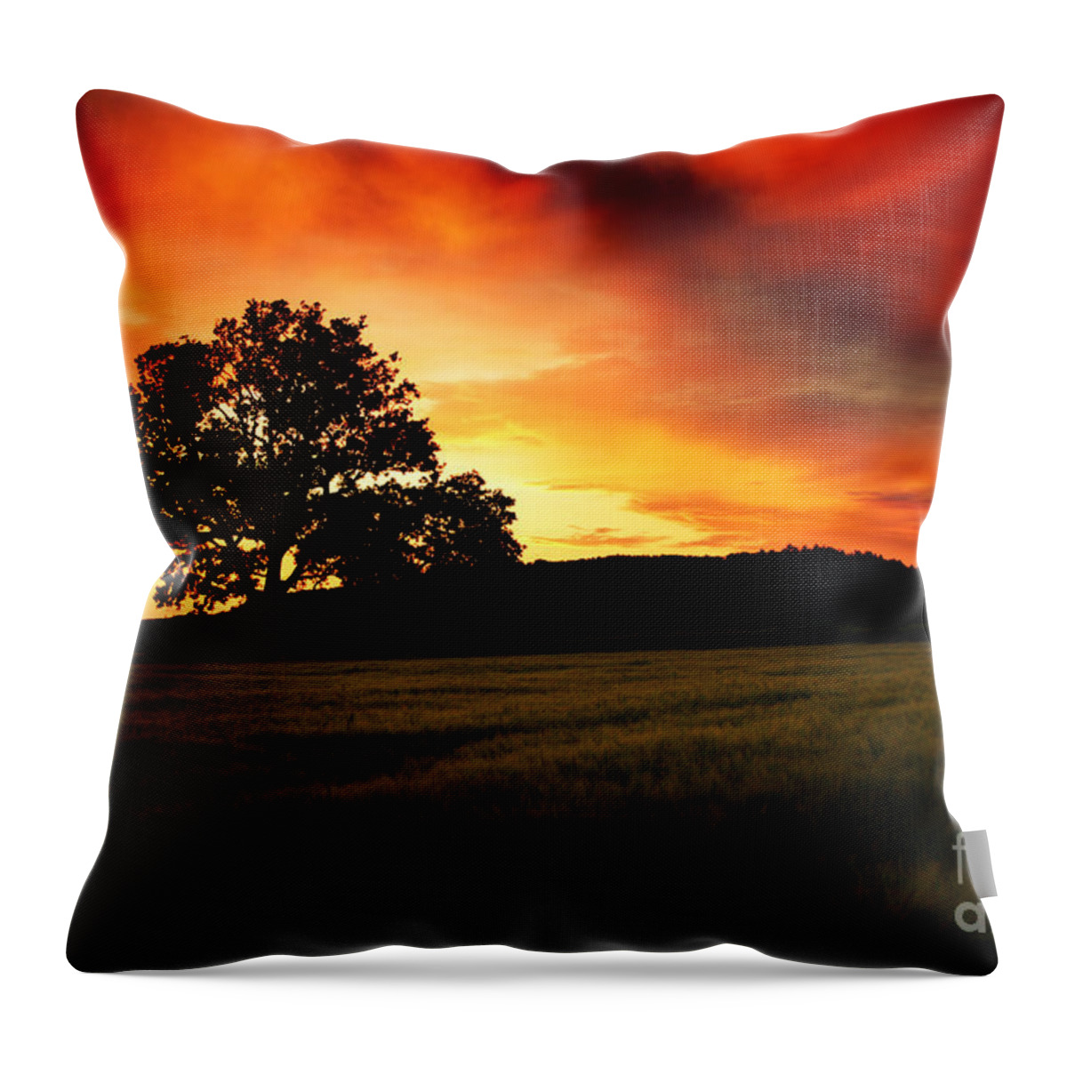 Sunset Throw Pillow featuring the photograph the Fire on the Sky by Ang El