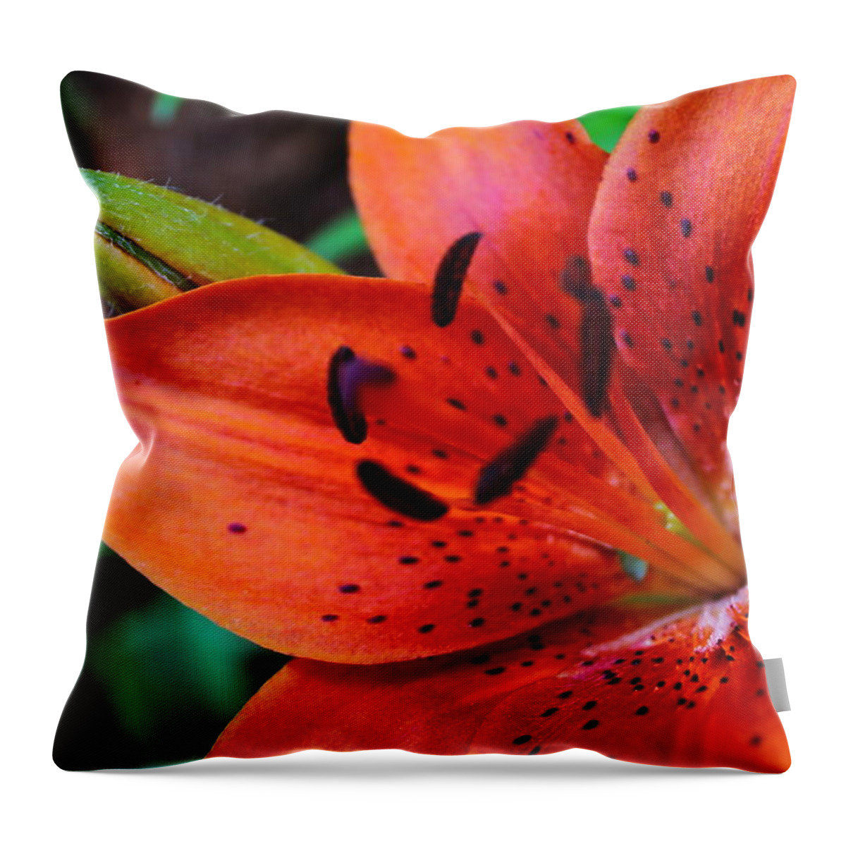 Lily Throw Pillow featuring the photograph The First Lily by Jeff Heimlich