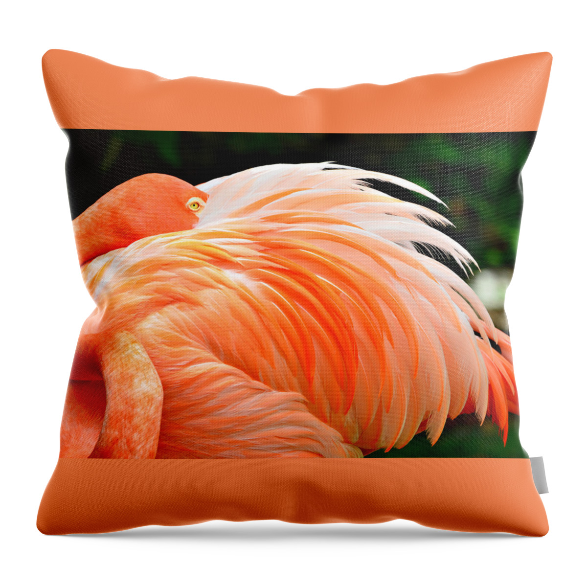 Flamingo Throw Pillow featuring the photograph The Flamingo by Ally White