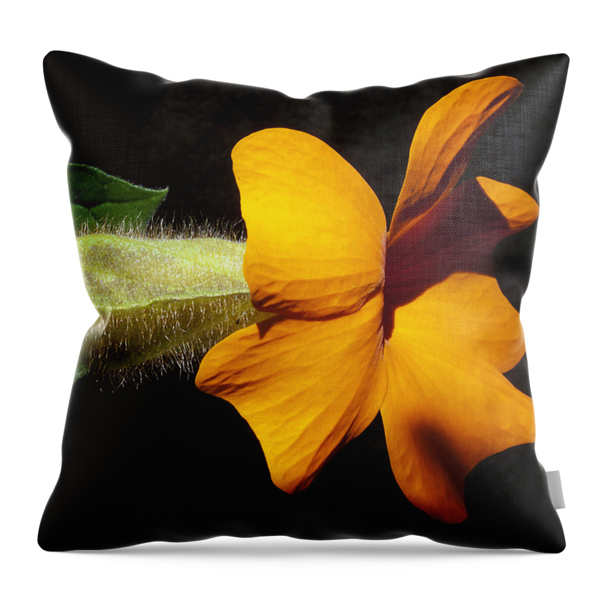 Flora Throw Pillow featuring the photograph The force that through the green fuse ... by Joe Schofield
