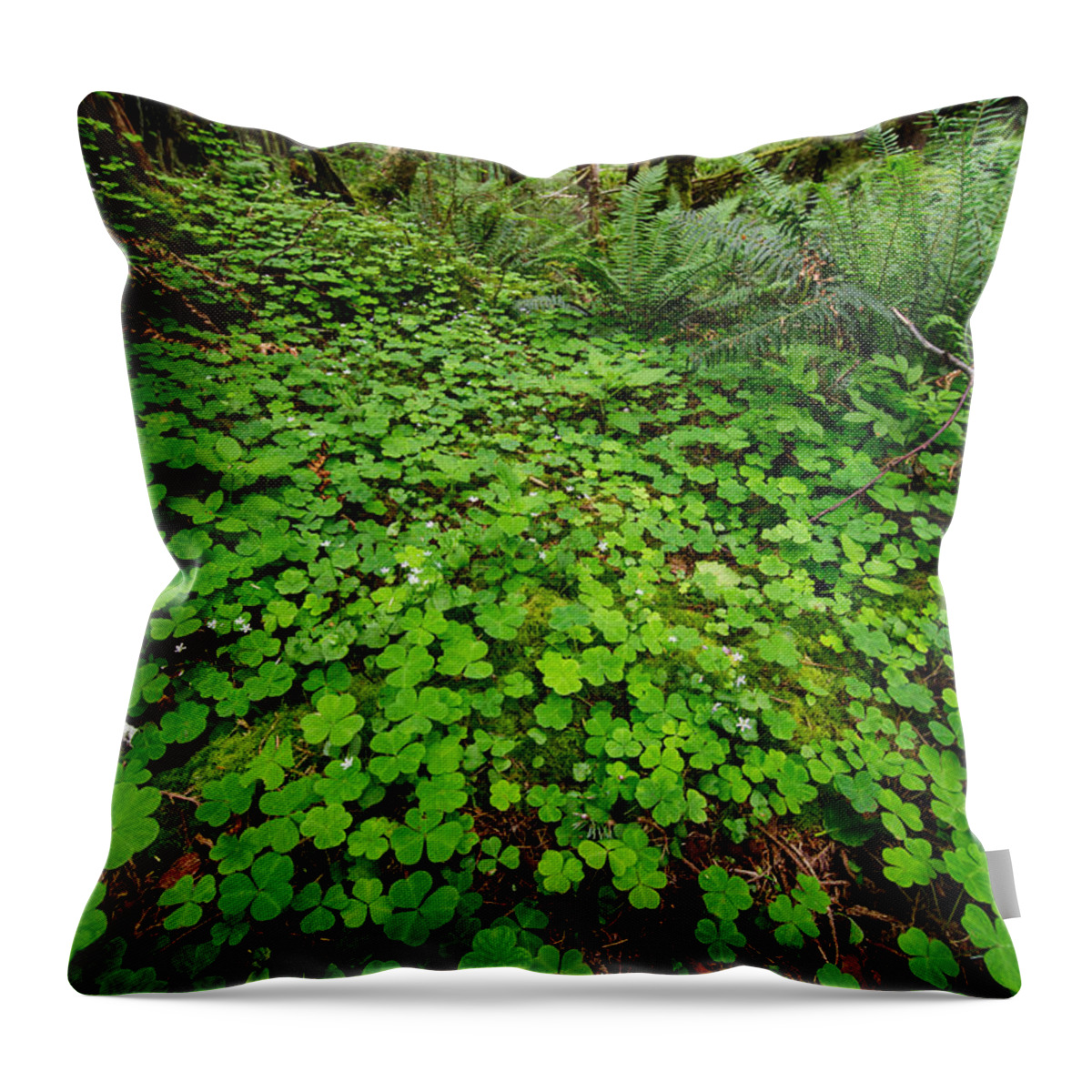 Ecola State Park Throw Pillow featuring the photograph The Forest Floor by Rick Berk